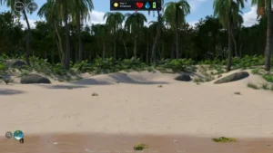Stranded Dick